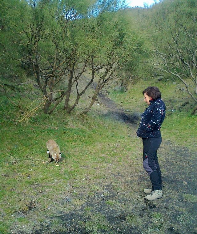 Etna Glob&B Hiking Zafferana Etnea Dış mekan fotoğraf
